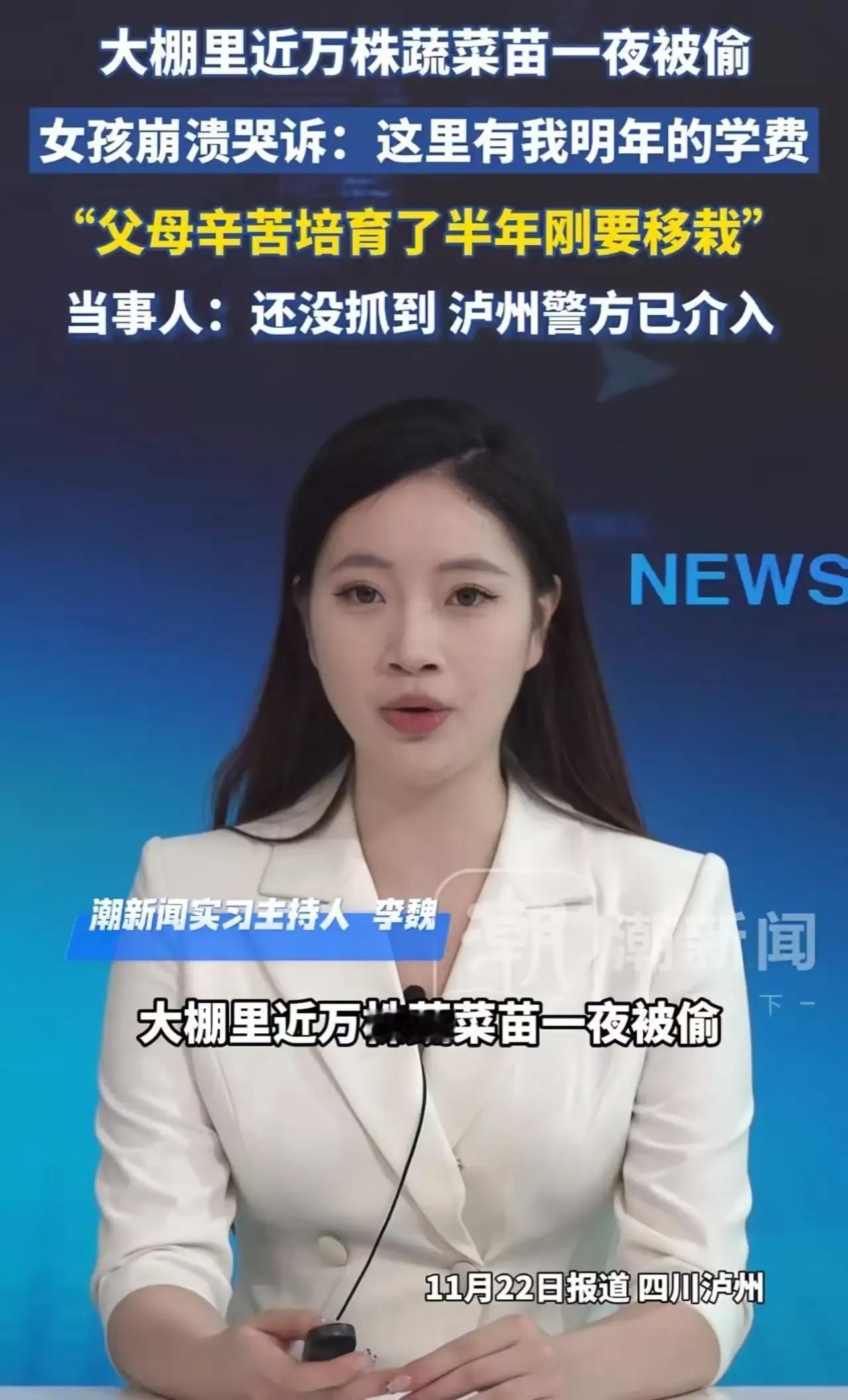 那一夜的失窃，犹如一场突如其来的晴天霹雳，击碎了一个普通家庭的希望，也让无数网友