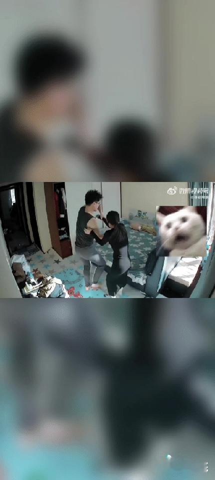 一打一闹
这或许就是恩爱的表现吧