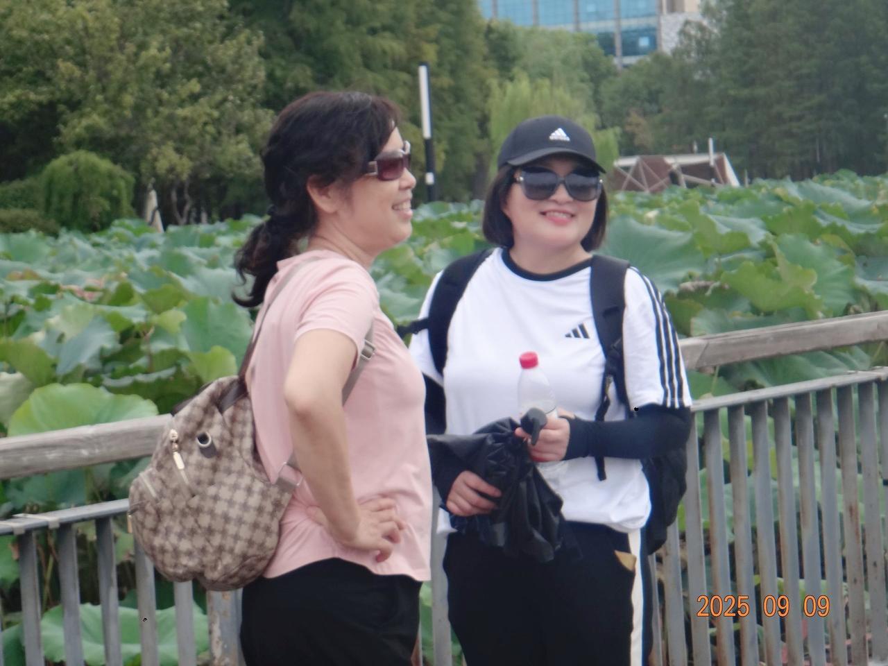月湖公园