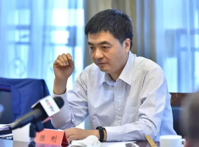 广西书记陈刚：今天就“亮亮家丑”，这波操