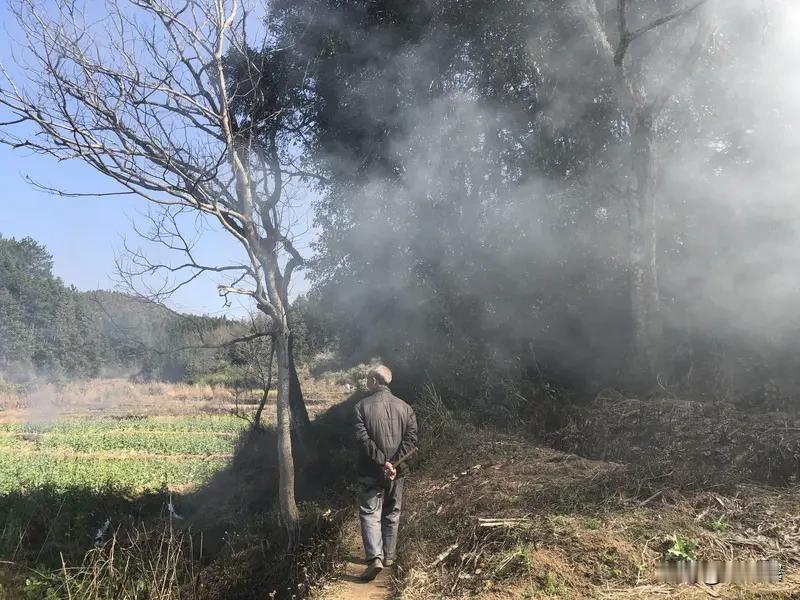 焚烧秸秆是有害还是无害呢?农民焚烧秸秆 秸秆有效处理 焚烧秸秆有明显危害，主要体