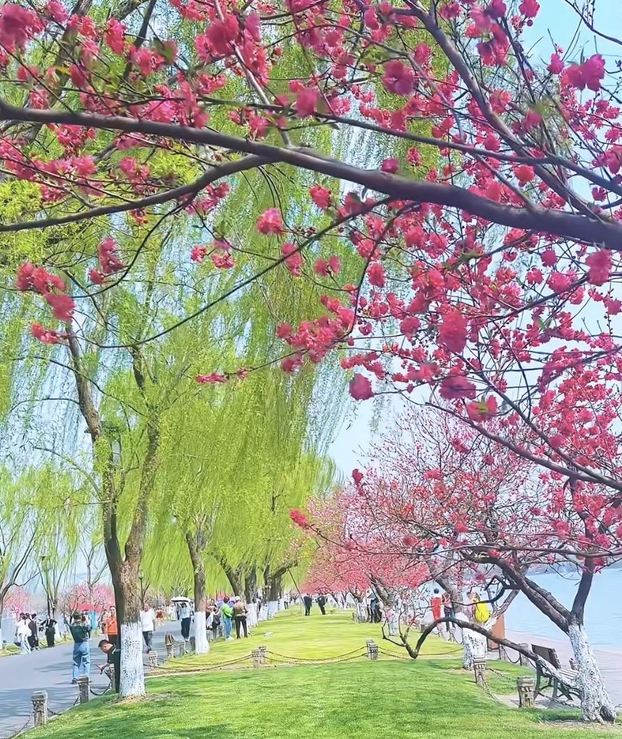 上联：花绽千枝春有色
下联：新裁万叶雨无声