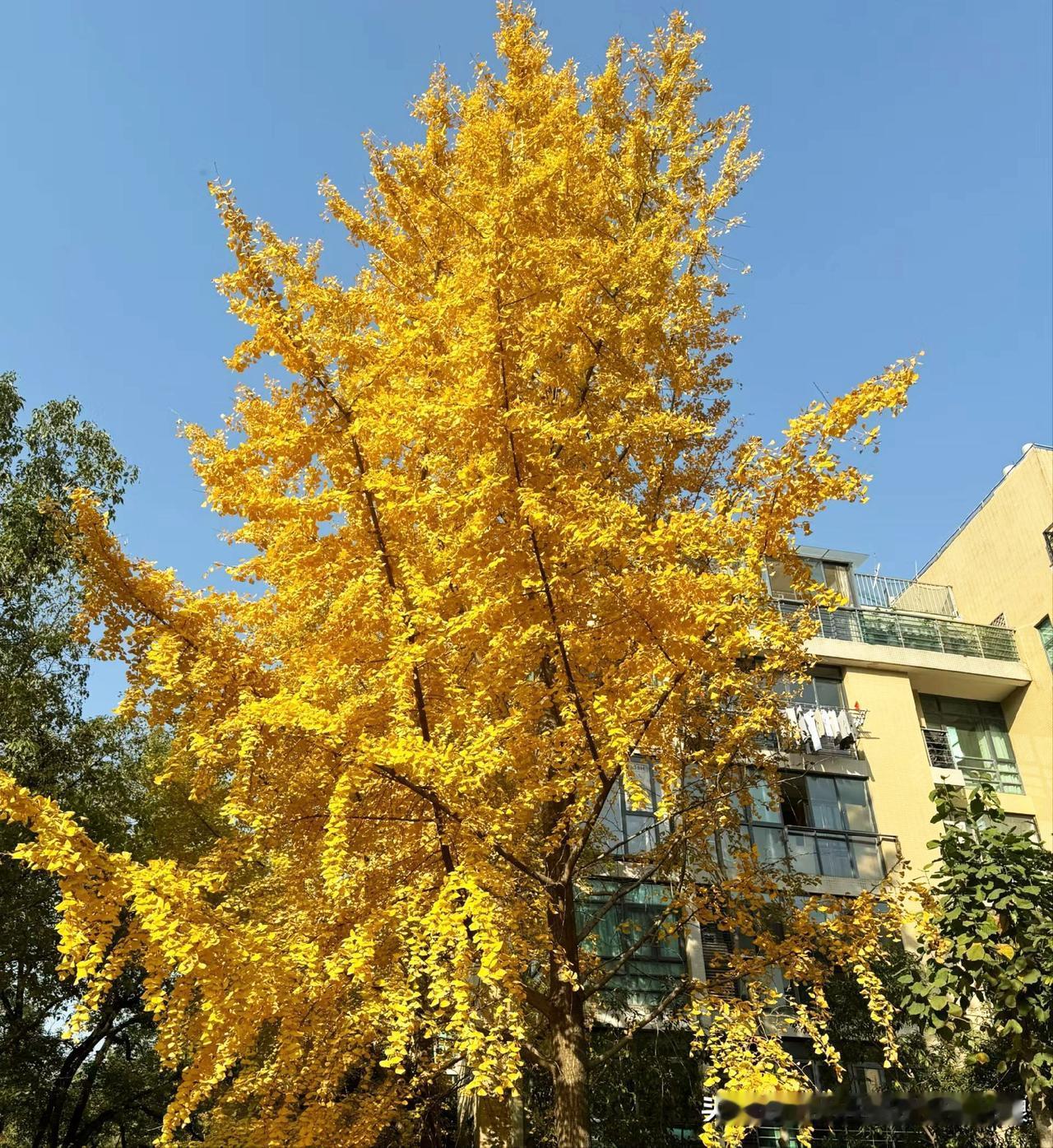 我的今日状态：💰期待暴富
我这里的天气：☀️晴天
12月你好！2025最后31