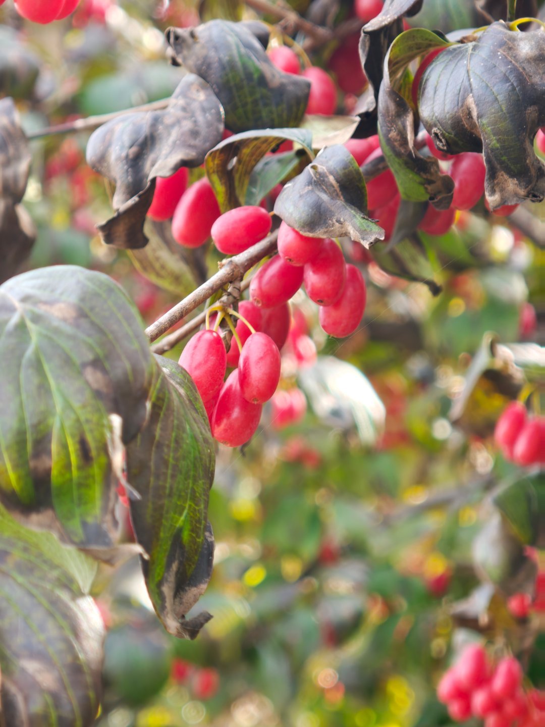 小爱不错 ​​​