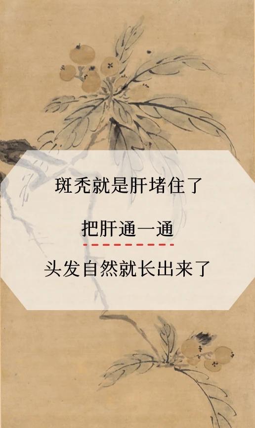 斑秃就是肝堵住了
把肝通一通
头发自然就长出来了

鬼剃头、斑秃、其实就是肝堵了