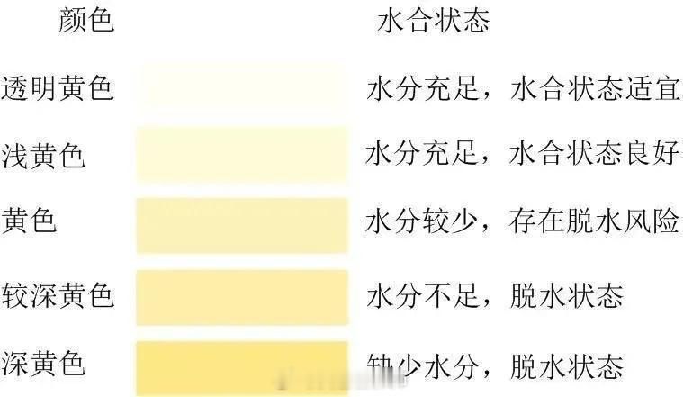 如何判断自己喝水够不够？看尿液的颜色啊，完全无色，其实是水喝多了[doge][喵