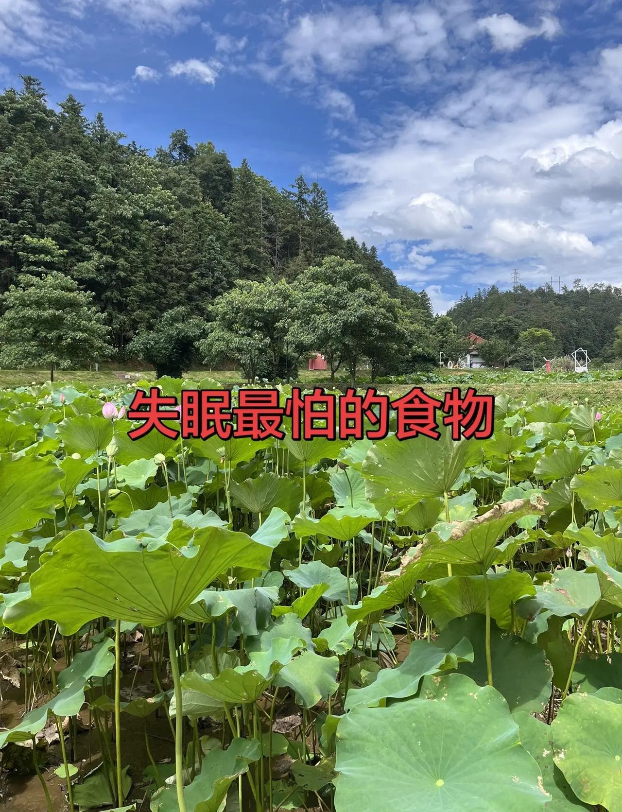 中国73:92主场惨败日本，在局面打不开的情况下，庞铮麟未获一分钟上场时间，失败