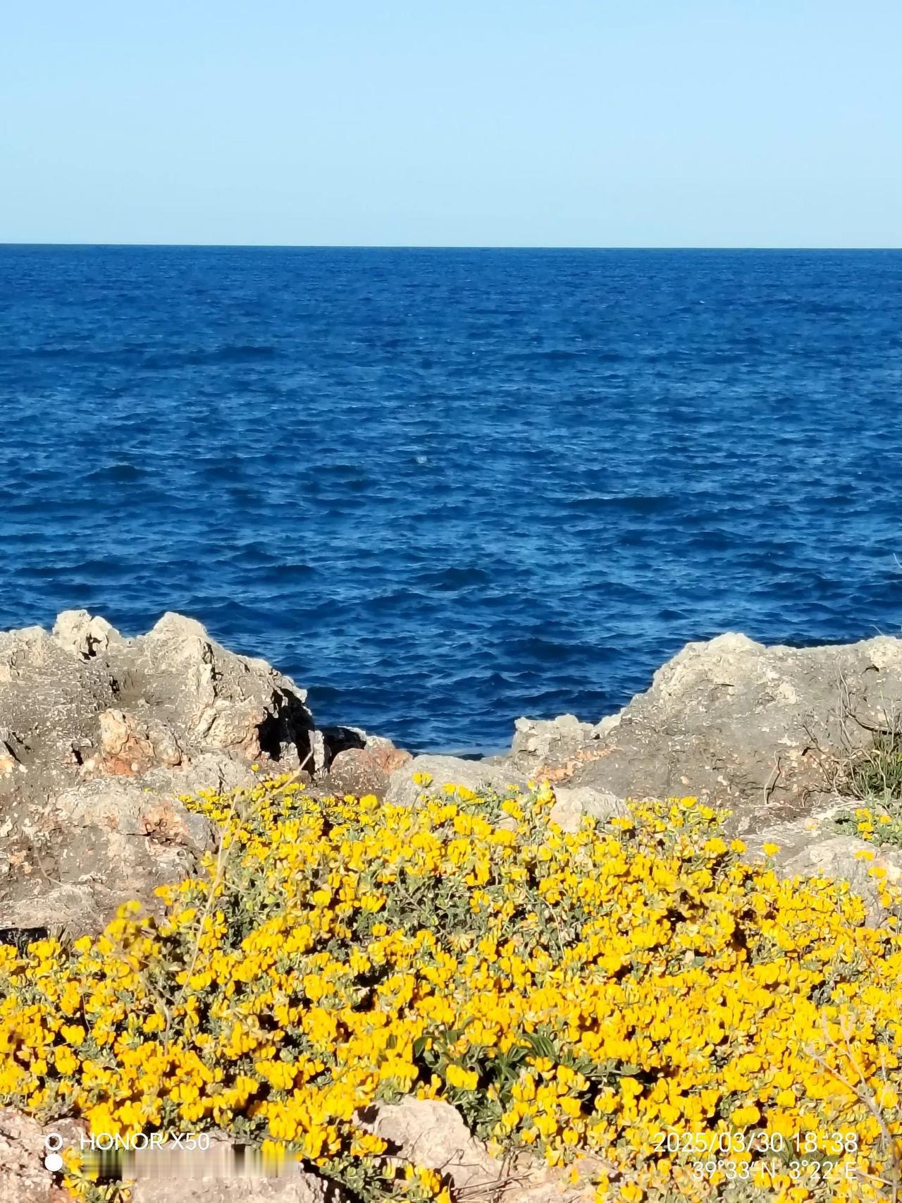 晒图笔记大赛花黄海蓝