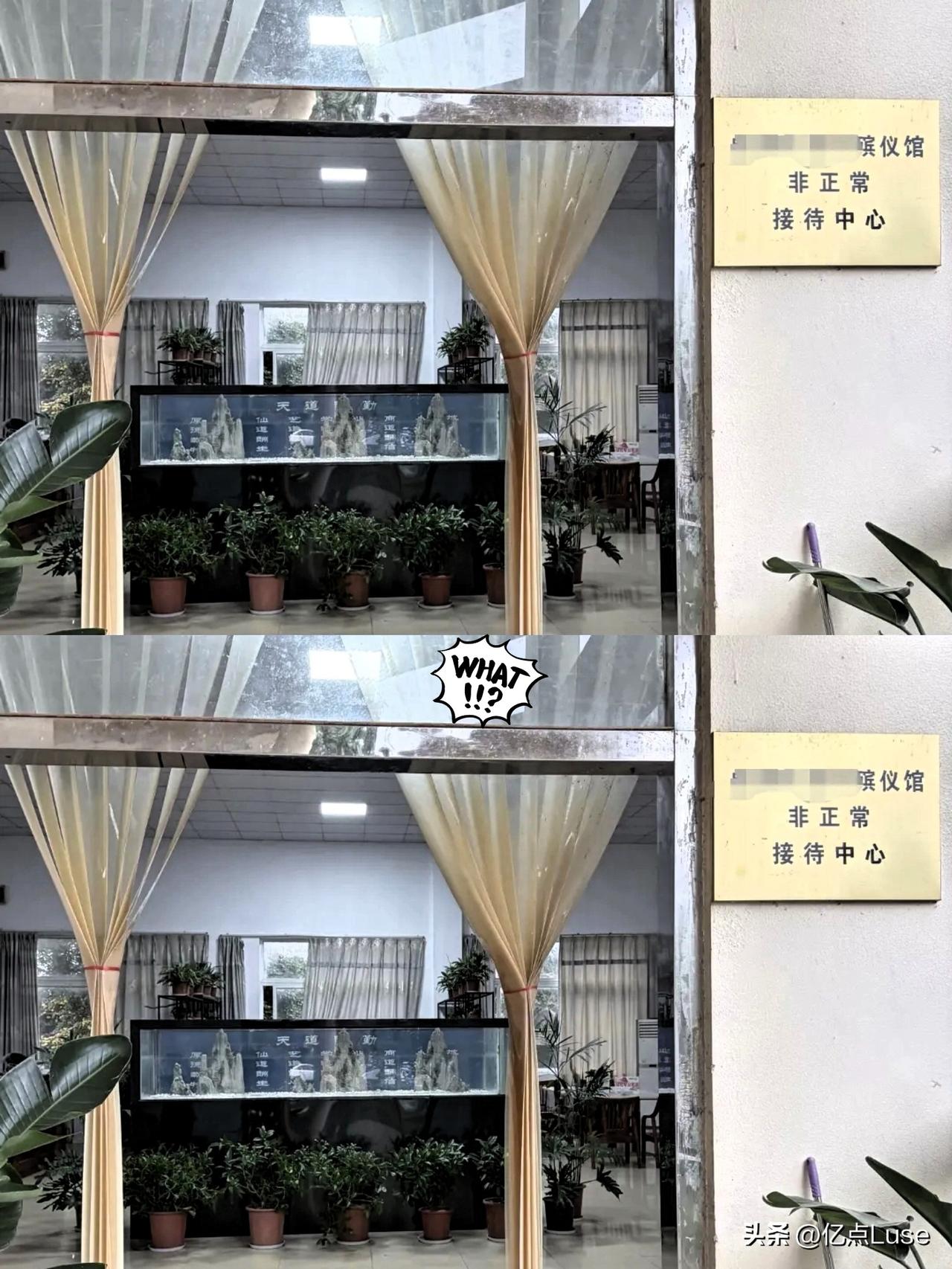 朋友突发心梗离世，留下怀孕5个月的妻子。这本就是晴天霹雳，没想到葬礼办完，她竟打