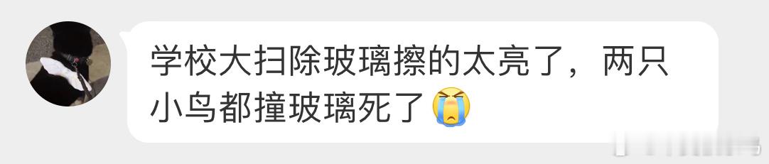 #撞玻璃的鸟# 撞玻璃【黄喉鹀wú】鸟撞的惨烈不为人知雨水洗涤着斑驳的血迹，连雪