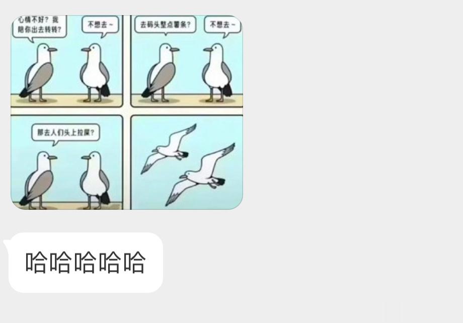 诡计多端的鸥鸥 ​​​