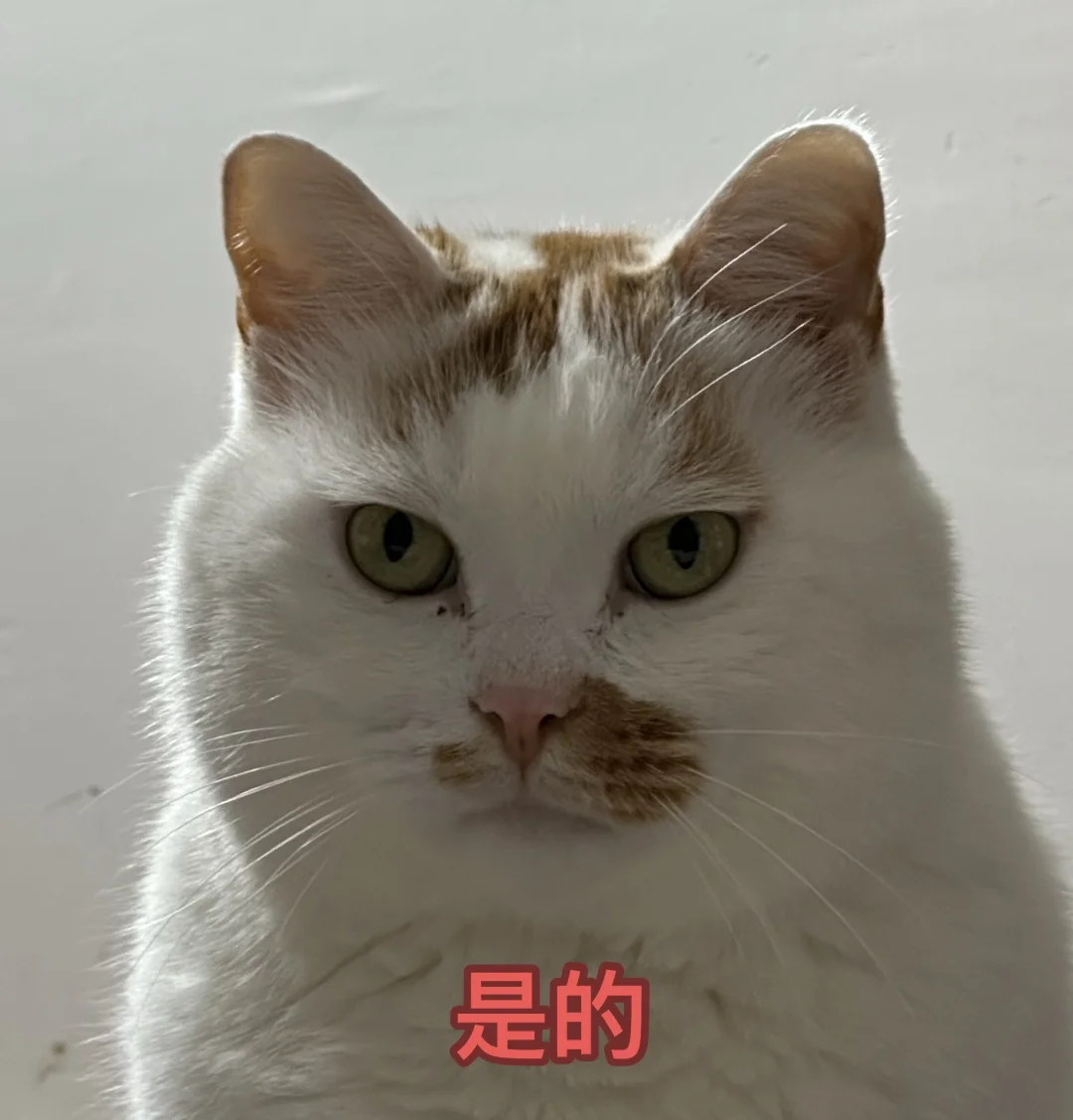 所有的人都在指责我