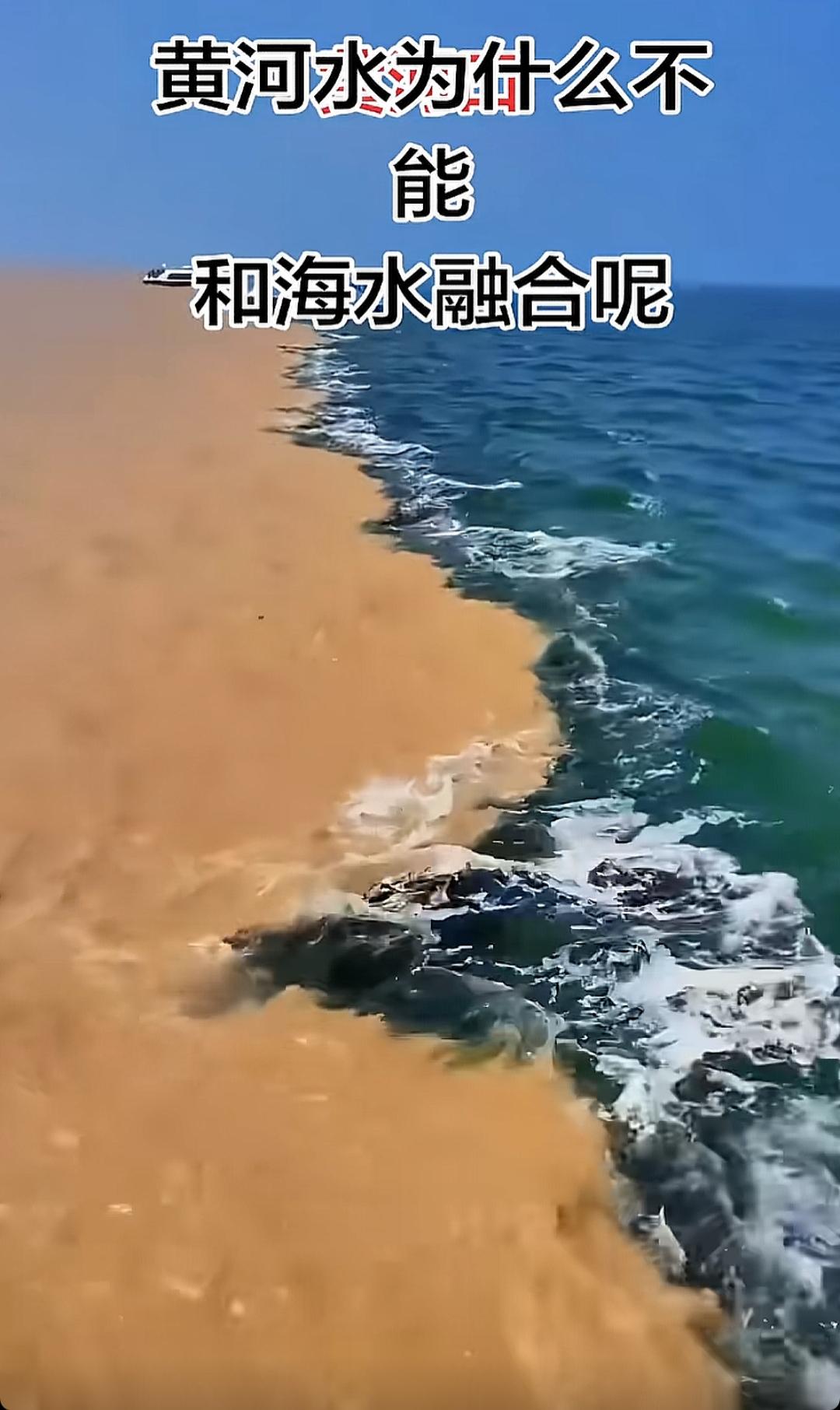 黄河水不与海水融，天地自分两界明。问了100个人都不知道。都很奇怪，为什么合不到