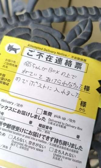 送货员说明包裹无法投递是因为收件箱上有只猫[呆无辜] ​​​