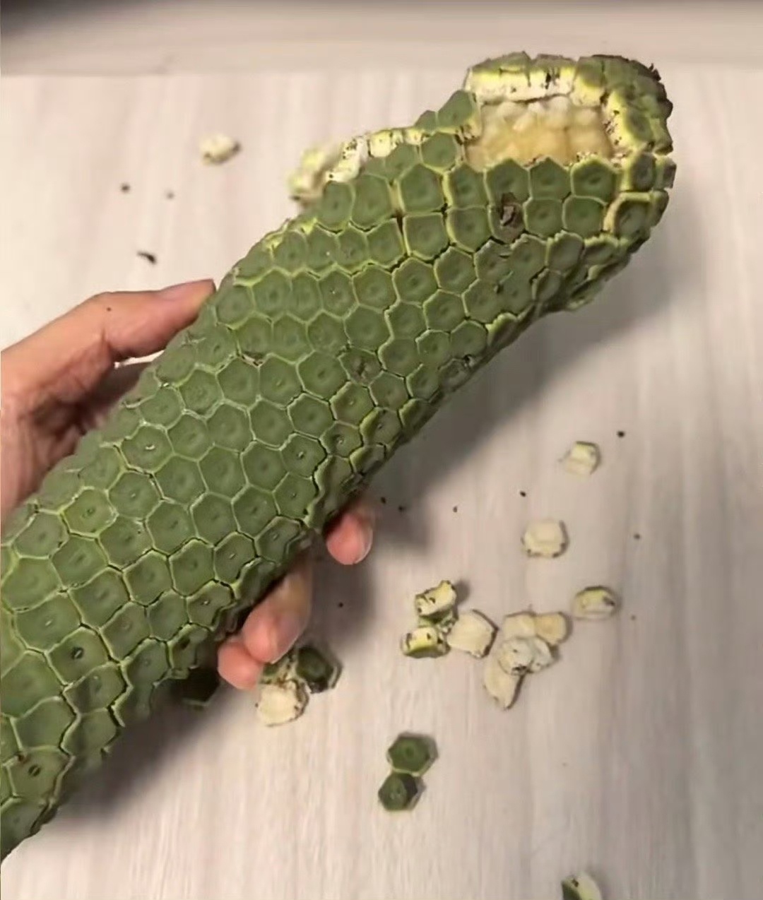 一些冷知识1.看一个男人x能力强不强，看体毛就知道了，有胸毛的绝对强。2.婚前，