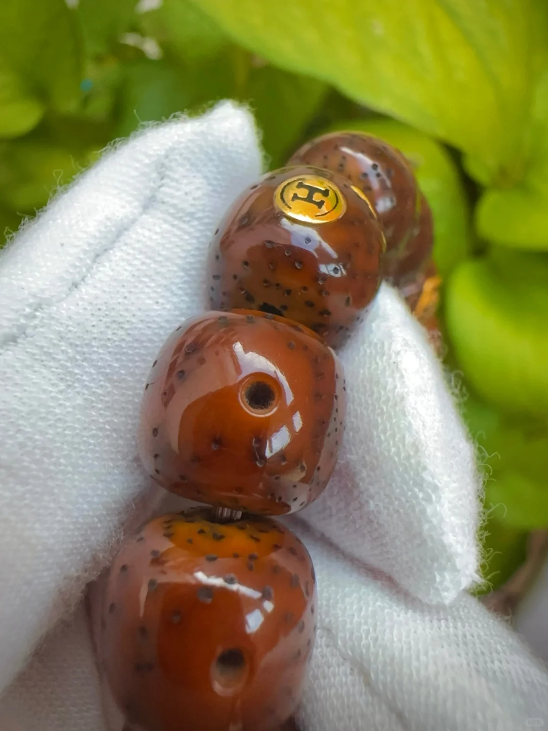 🌟星月菩提 😍玩到最美最好看的秘密✨