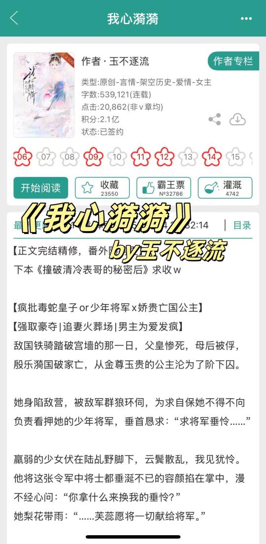 亡国后被敌国将军强取豪夺了
