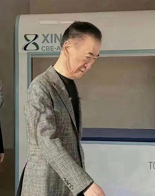 现在的王﻿‎健林和现在的王思聪 