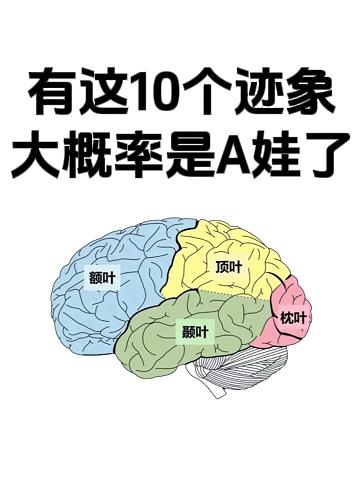 有这10个迹象，大概率是A娃了
当我们谈论孩子的行为特征时，实际上是在观察神经多