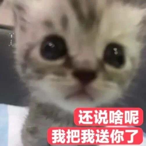 鱼你有染 🩷鱼你有染 今日双人大屏进度ᕙ(  •̀ ᗜ •́  )ᕗ今天有点多