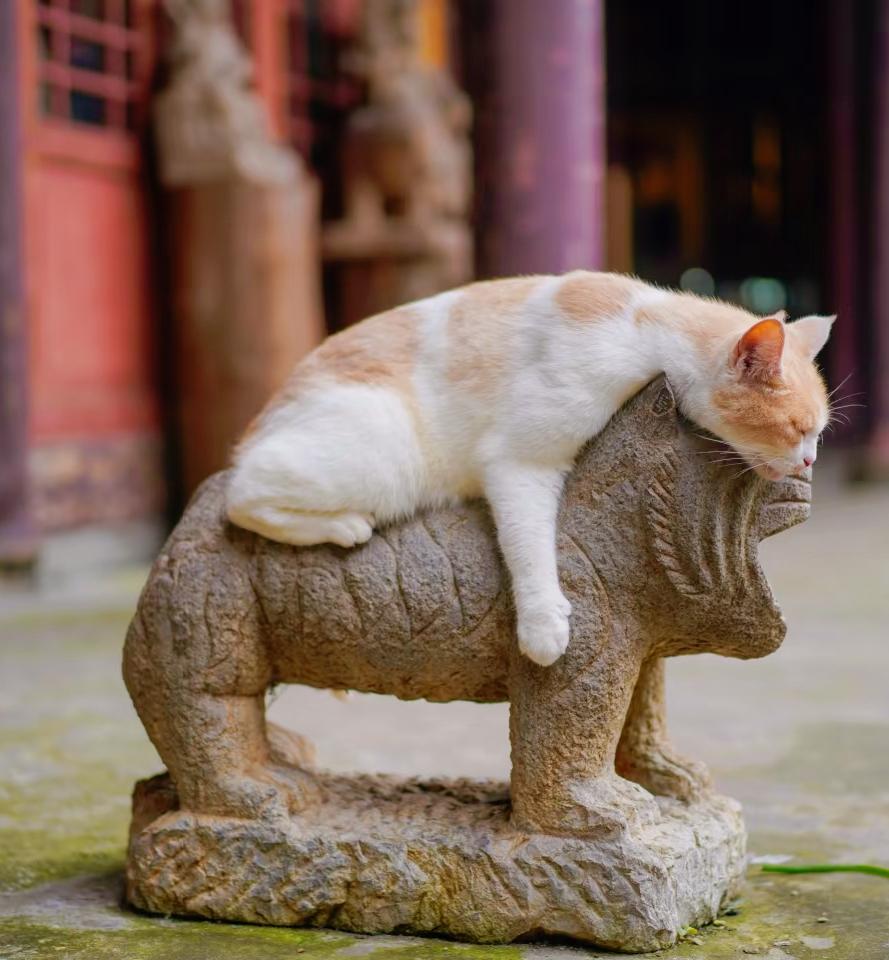 早上能醒，前程似锦；  晚上能睡，出类拔萃。