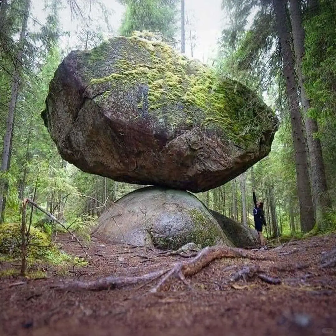 在芬兰的森林中，有一处令人惊叹的自然奇观，被称为库马基维 (Kumma...