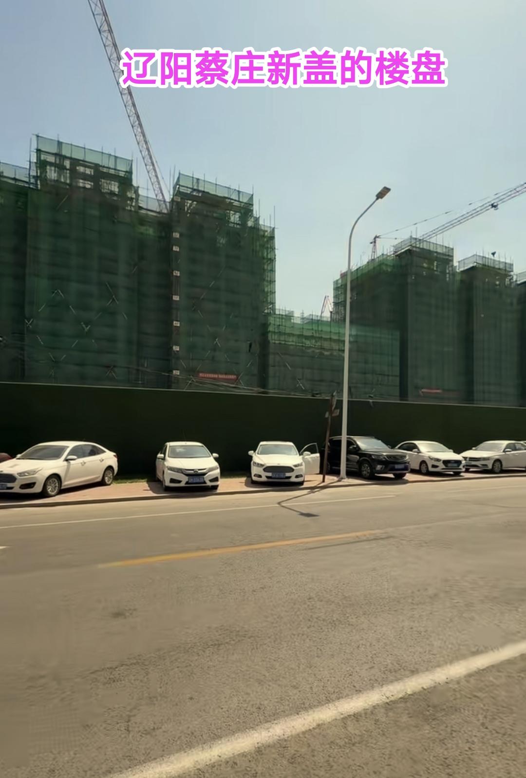 在河东新城之后，我感觉蔡庄是辽阳今后重点发展的区域，闲来无事看到蔡庄附近数十栋新