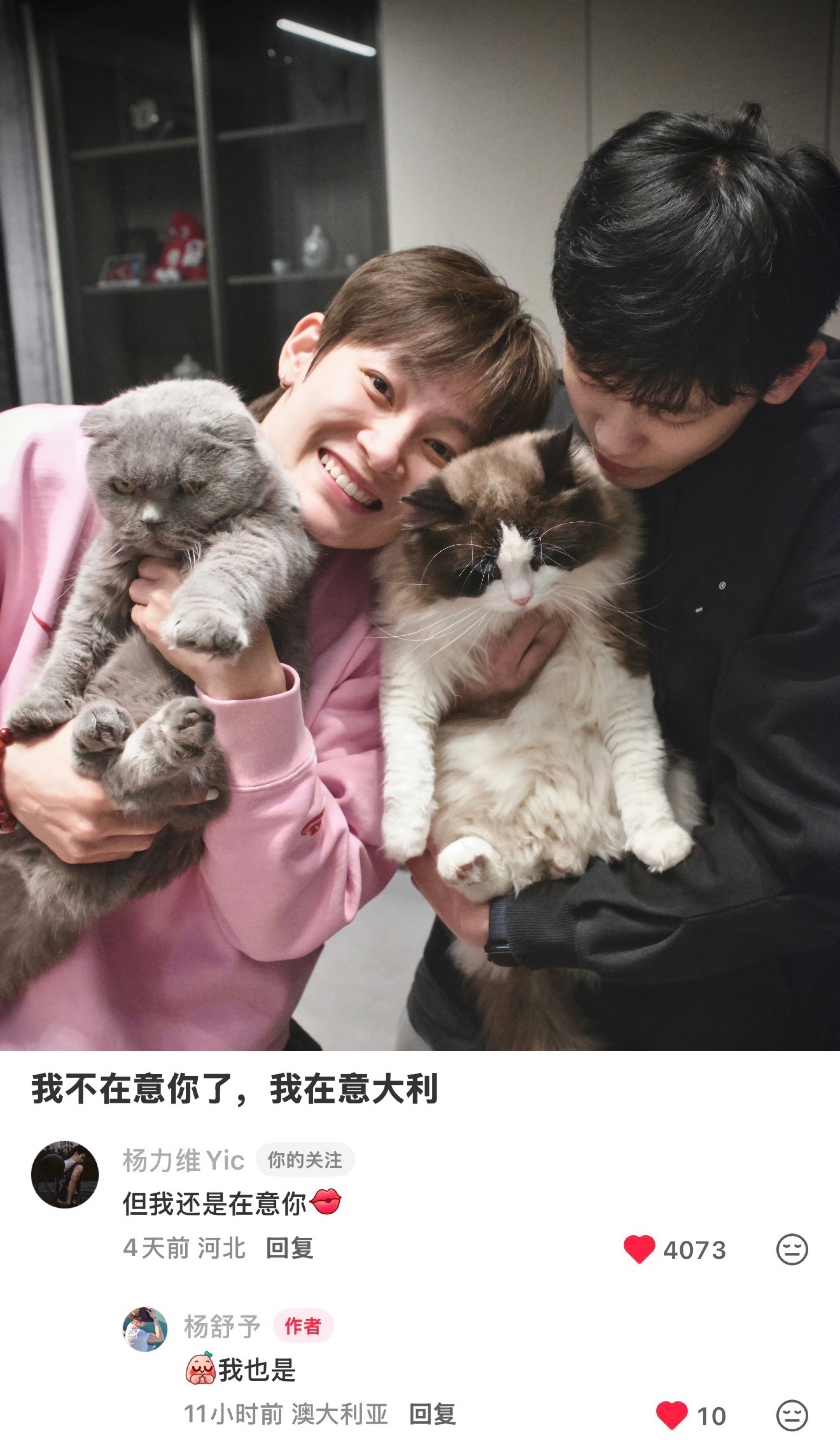杨力维  是妹宝女和姐宝女