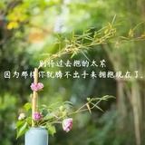 薛莺热说汽车