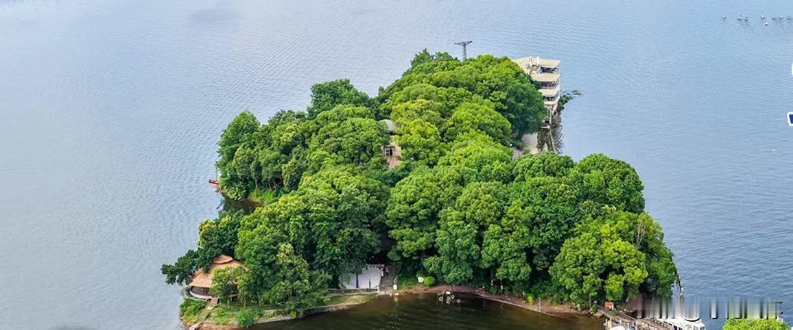泰山景区的保护措施是否合理不合理。泰山岂直是景区，它是老天赐给中国人的礼物，已被