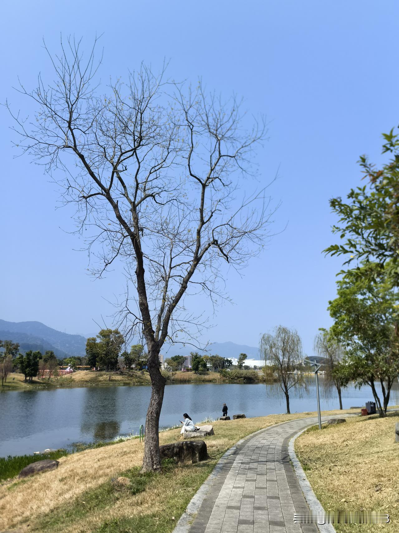 这一方山水胜地，美得令人心醉！天晴时，旗山湖公园的天空湛蓝如洗，远处的旗山隐隐约