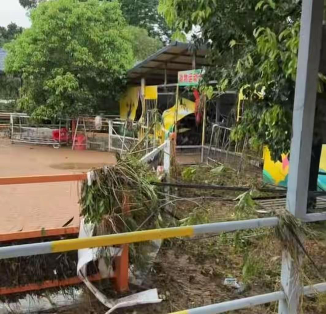洪水肆虐贵港动物园：百只动物被冲走、3只狮子溺亡，400万损失背后是最沉重的担当
