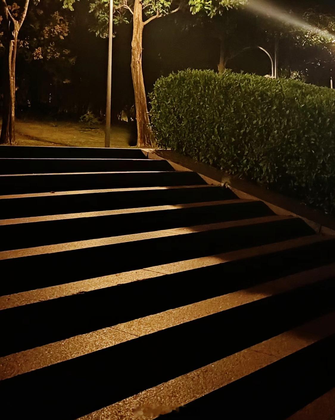 我也太招蚊子了，几个人一起走，蚊子就盯着我咬，这是杀父之仇吗？[费解] ​​​