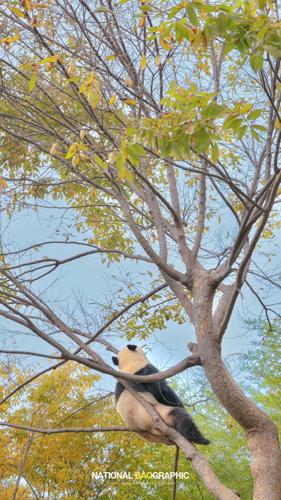 宝贝生日快乐