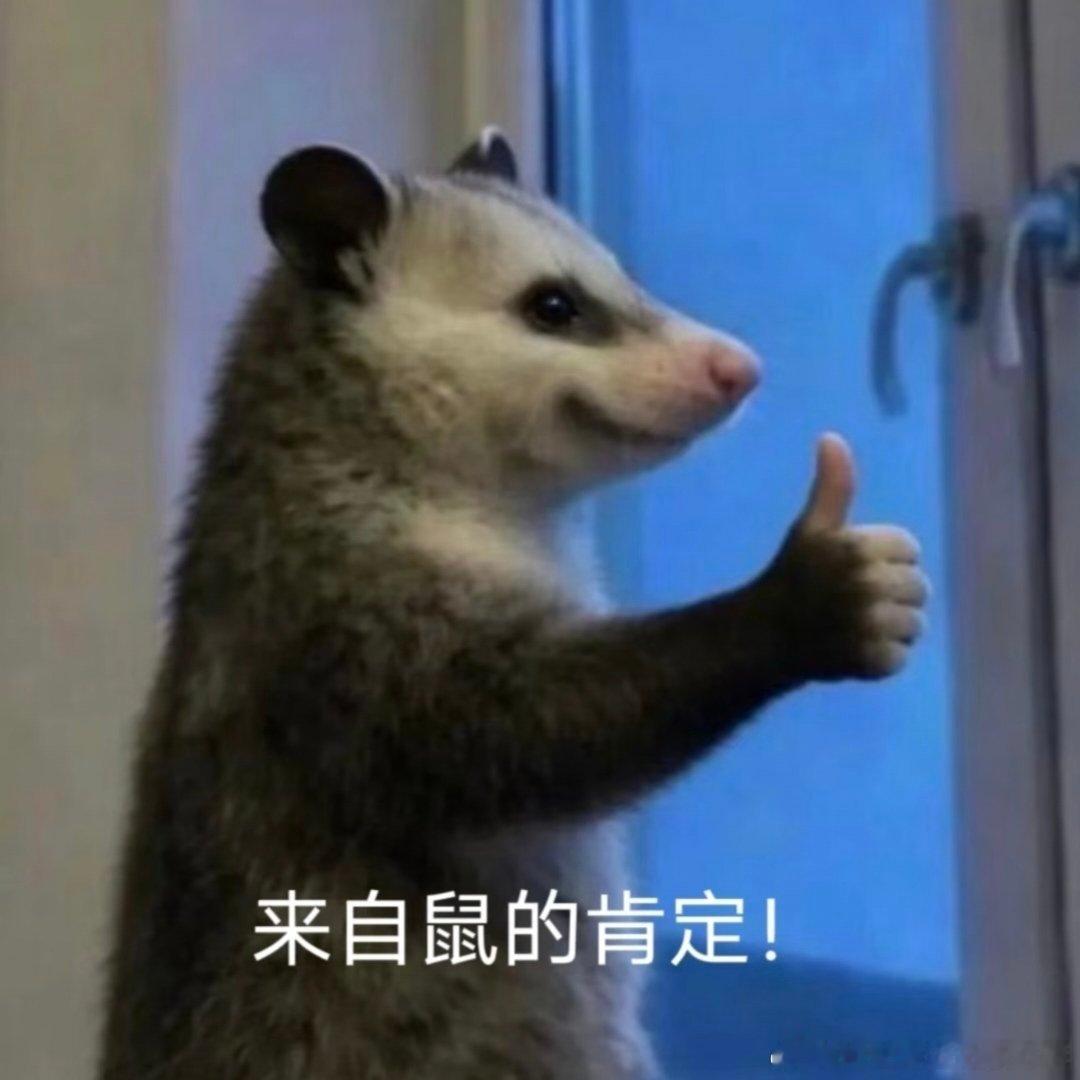 亚马尔世界杯首球 早上刷到亚马尔这记漂亮铲射瞬间沦陷，反复循环这段名场面，懒得下