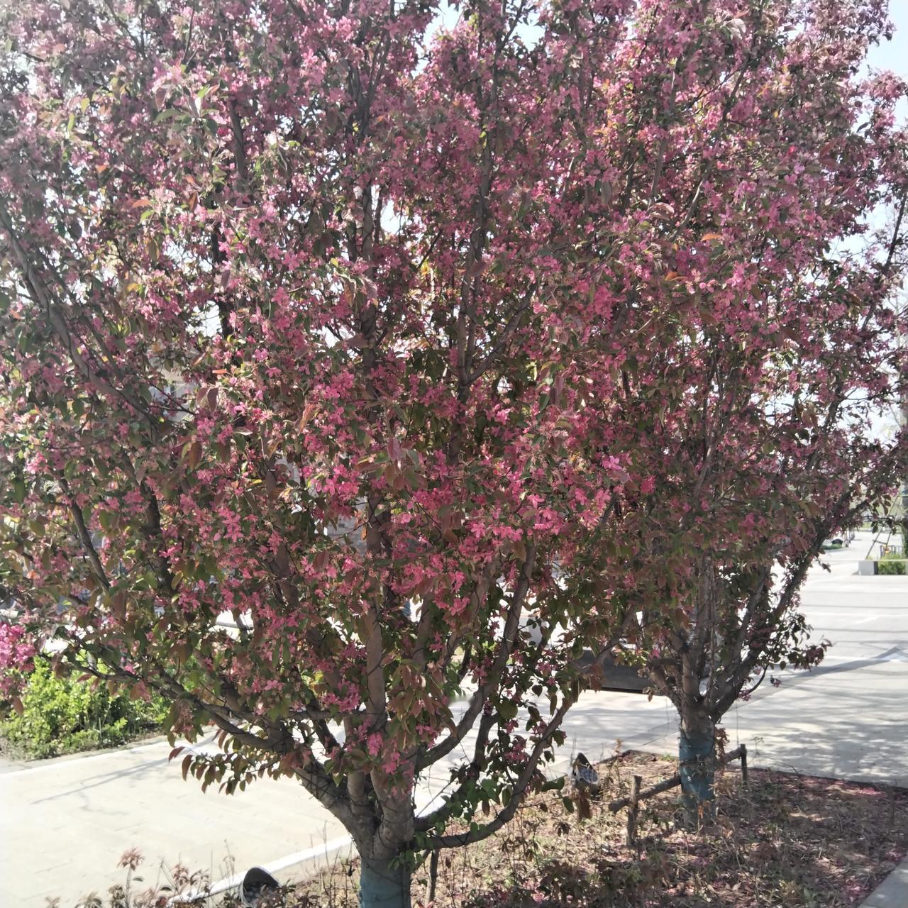 我把老公当室友一个月以后，婚姻反而变好了。

听起来是不是有点反常？毕竟，传统观