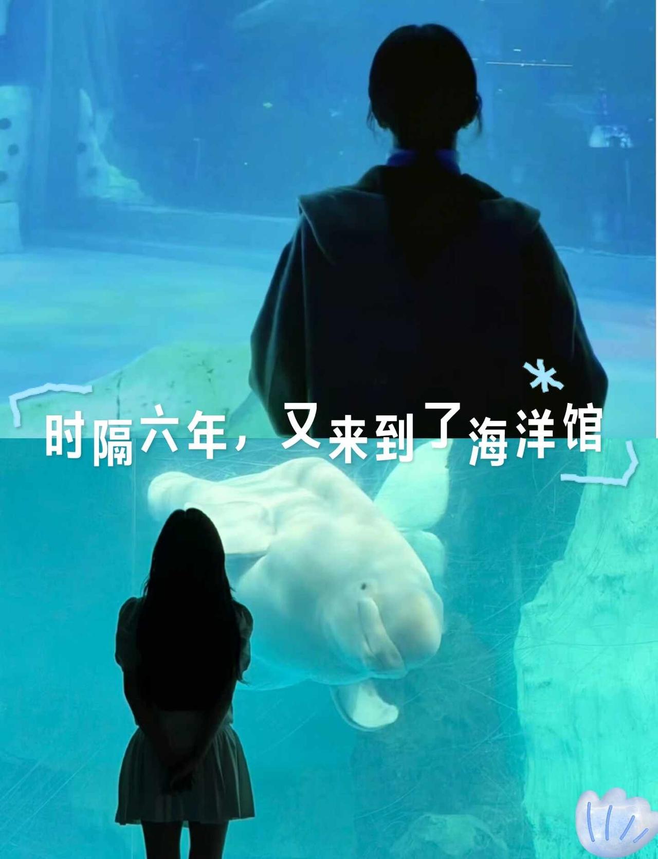 江君，是你吗海洋馆 半是蜜糖半伤 白鹿王韵娜开到荼蘼白鹿