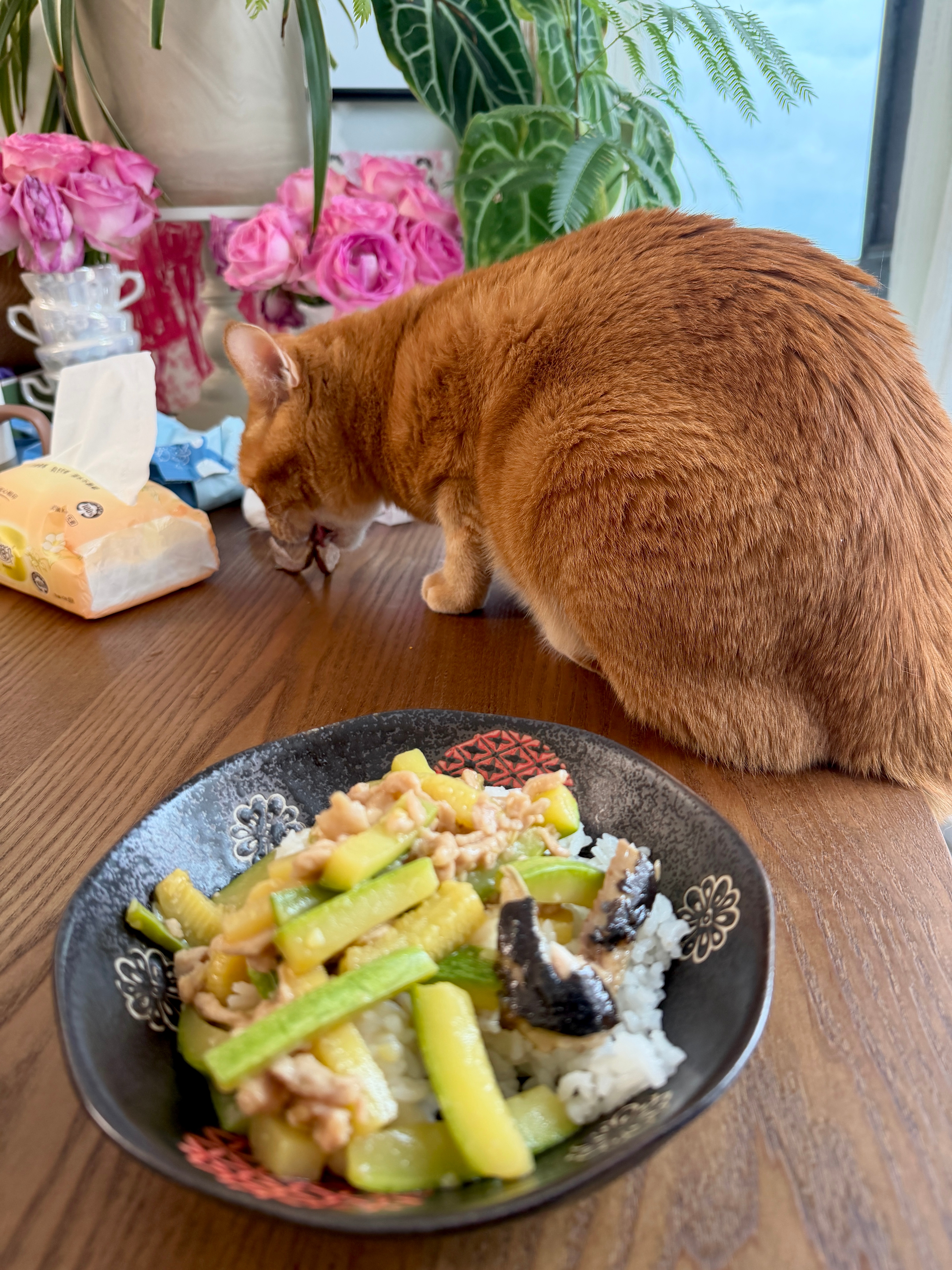 秋刀鱼的滋味，猫跟你都很了解！ ​​​