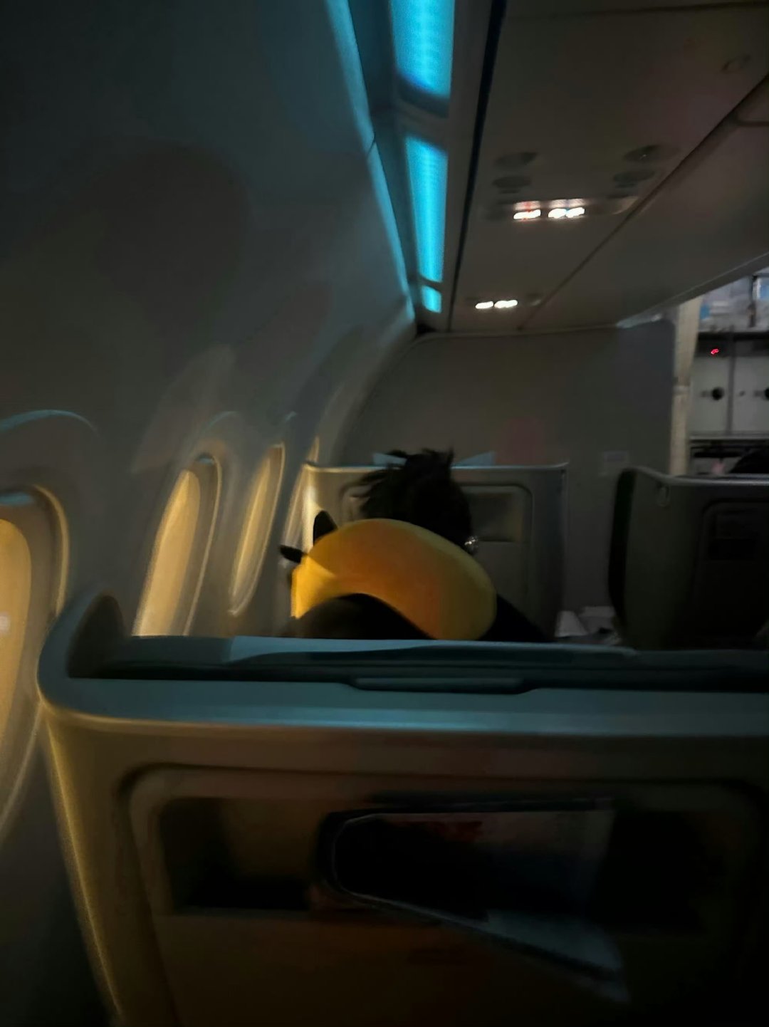 高空舱内，卢昱晓埋首剧本的模样自带光芒，两个多小时的专注研读，是她对角色的用心，