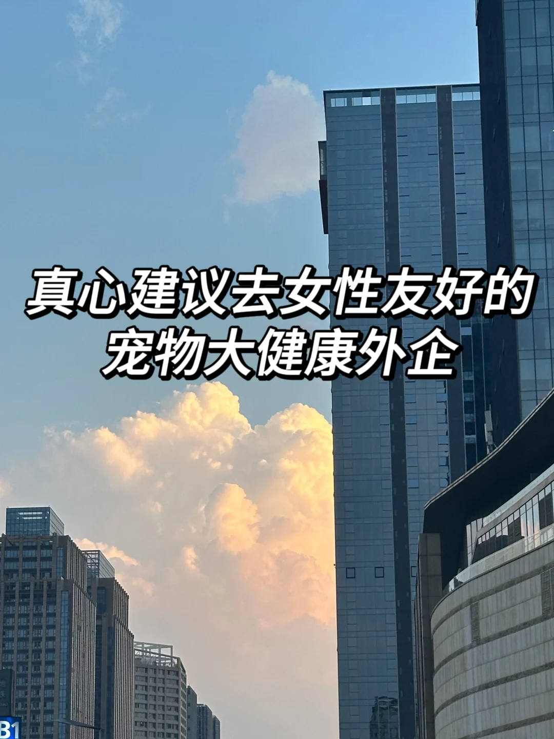 真心建议去女性友好的宠物大健康外企