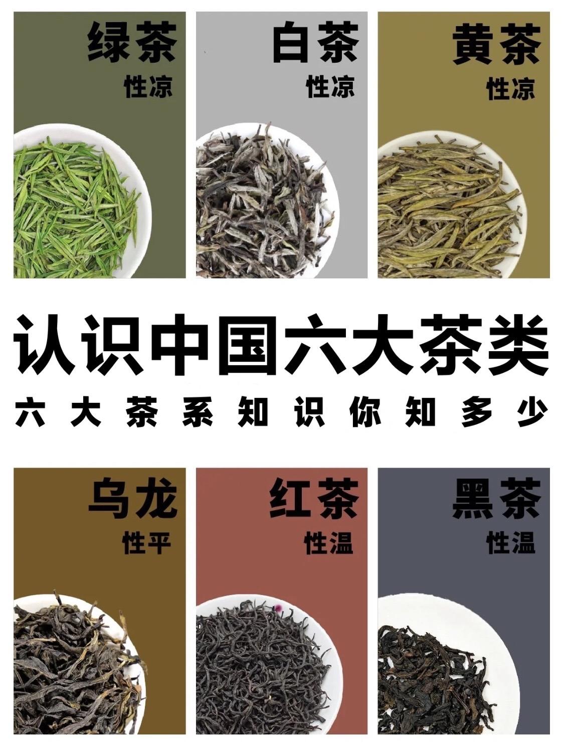 召唤茶友 今天你喝茶了吗 #抖音茶知识