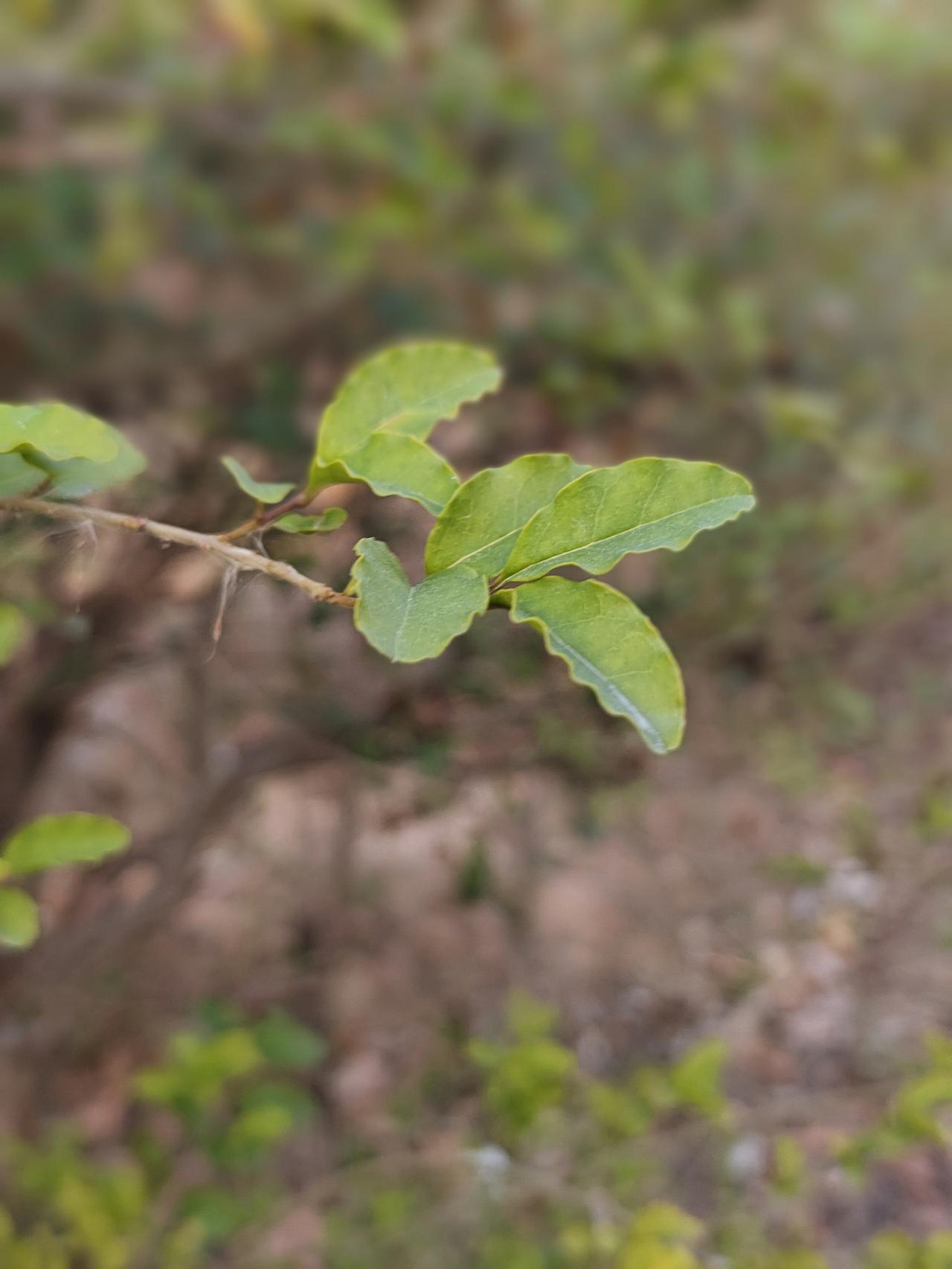 普通人不需要追求幸福，
只需要规避痛苦。
 在自己的能力范围之内，
尽量让自己过