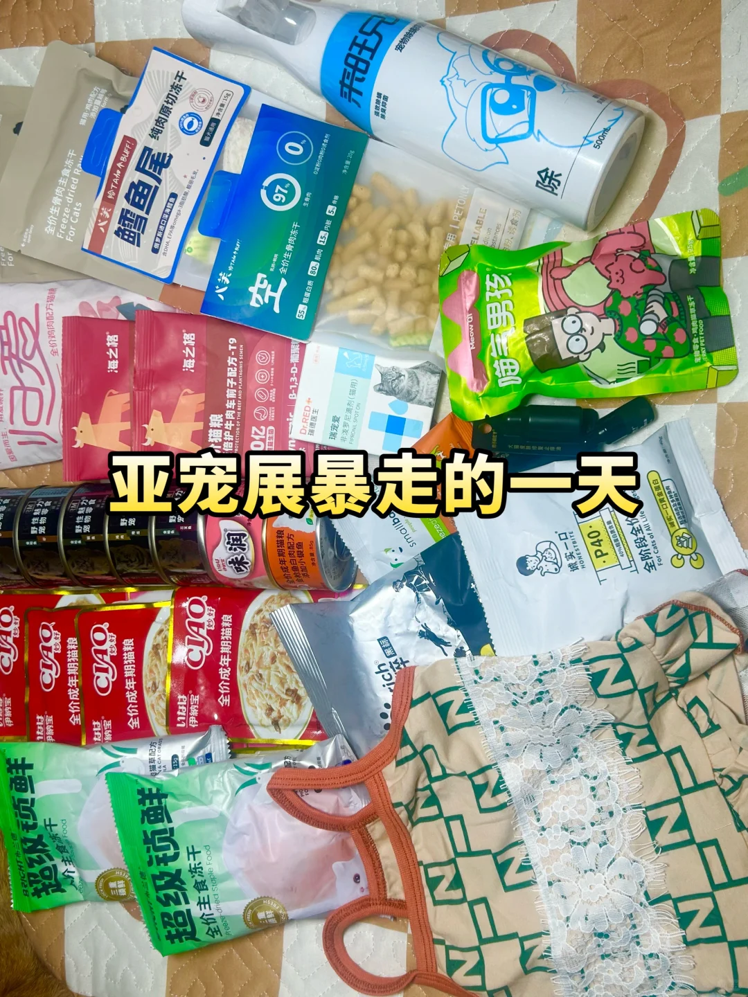 深圳亚宠展暴走的一天❗️