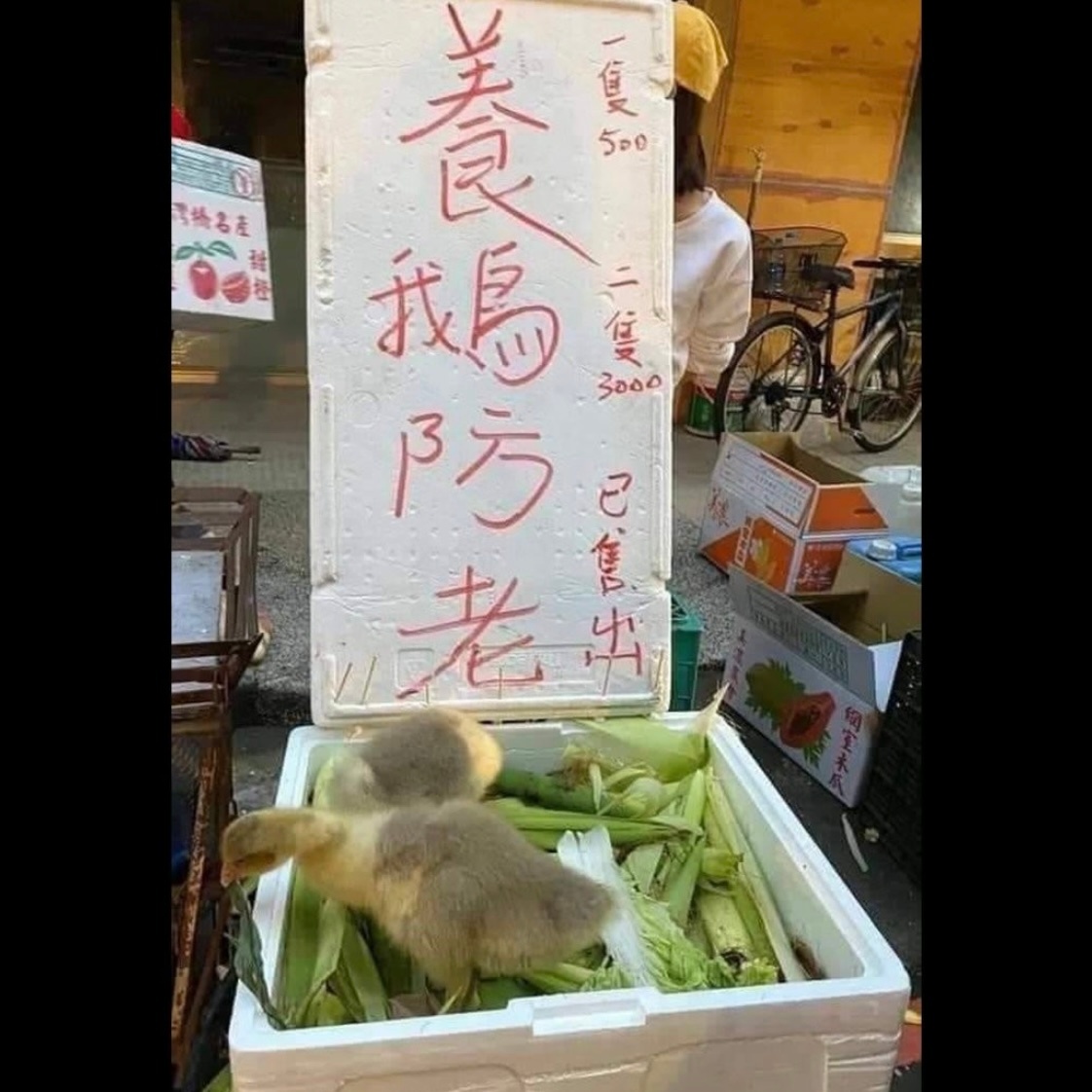 时代变啦#meme# ​​​