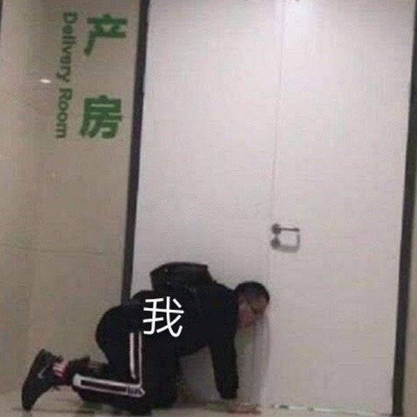 我现在就是这样张月新歌天生刺猬 ​​​