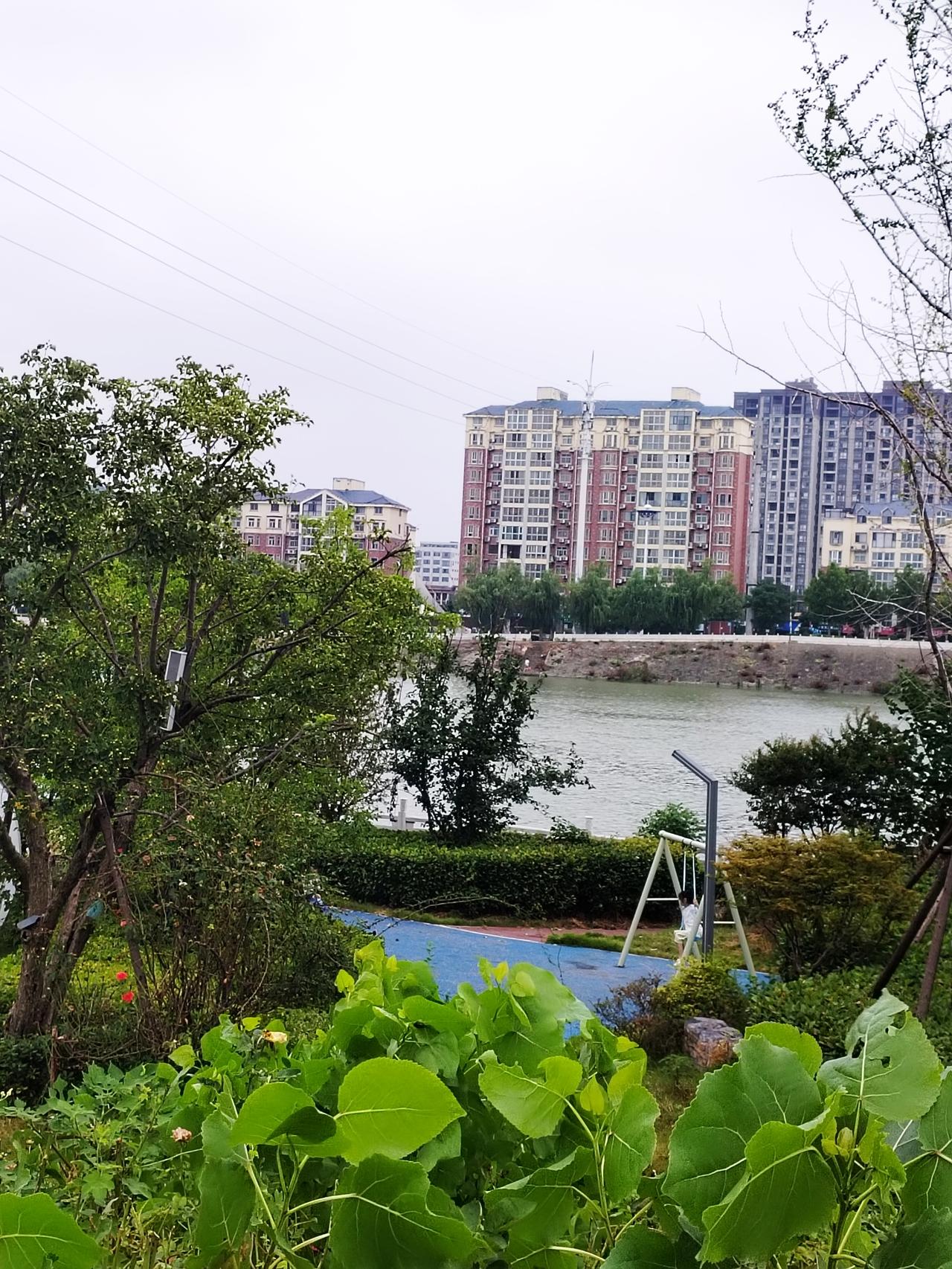 昨天上午去沙颍河大桥下面散步，看到两岸美景，我拿起手机随手拍了几张照片，记录日常