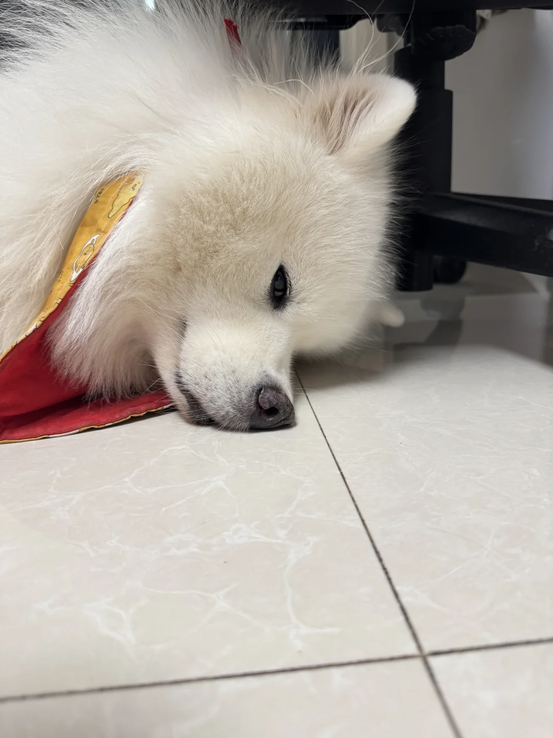 我不知道您怎么了