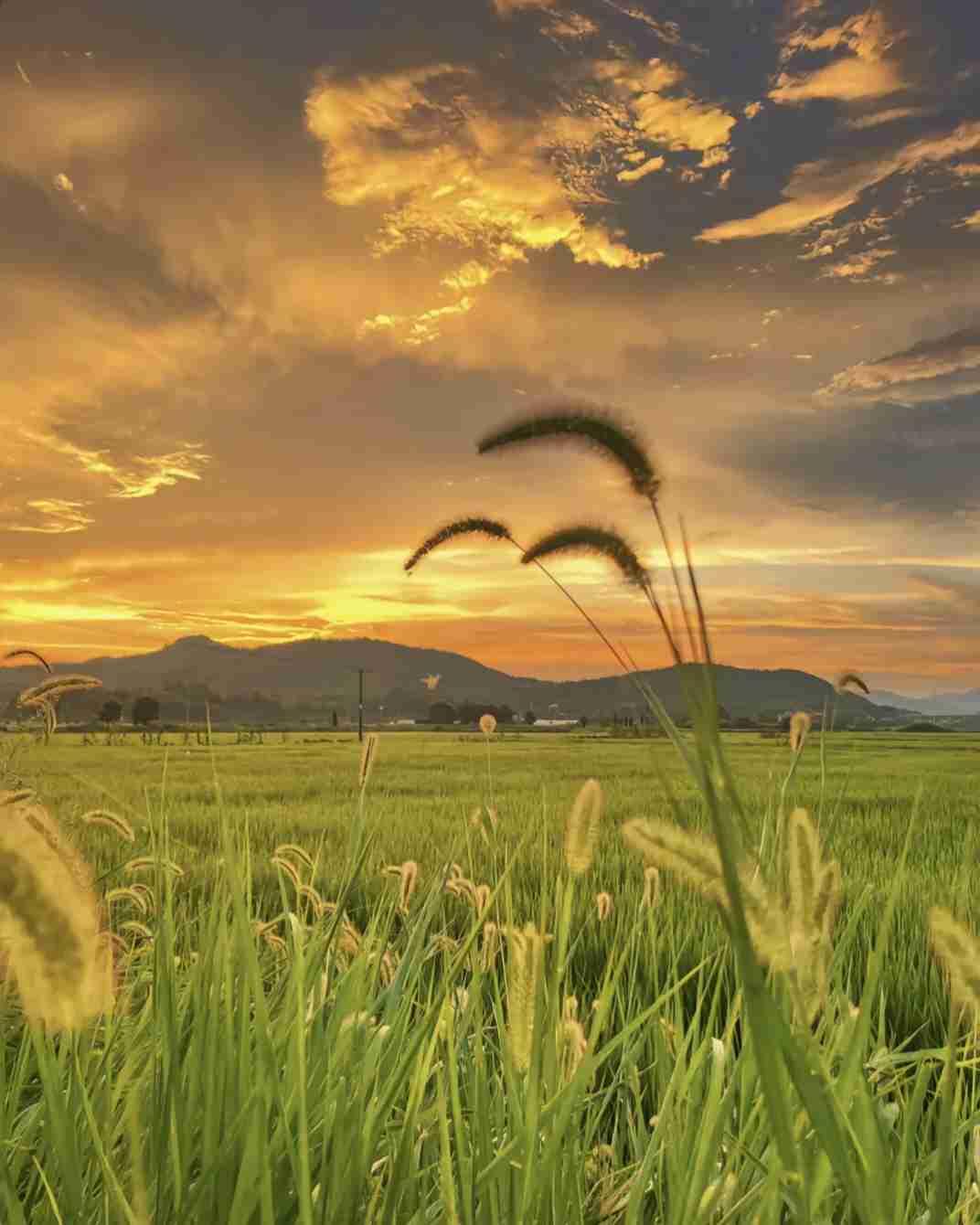 我的今日状态：😁轻松愉快
我这里的天气：🌤️多云