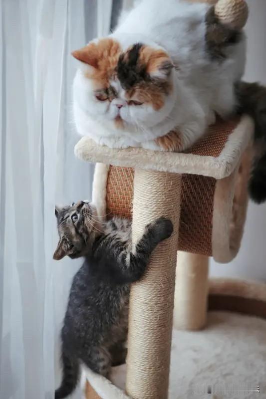 不知道那些总是想着依赖别人，

总是希望别人给自己兜底的人，

是什么样一种心态