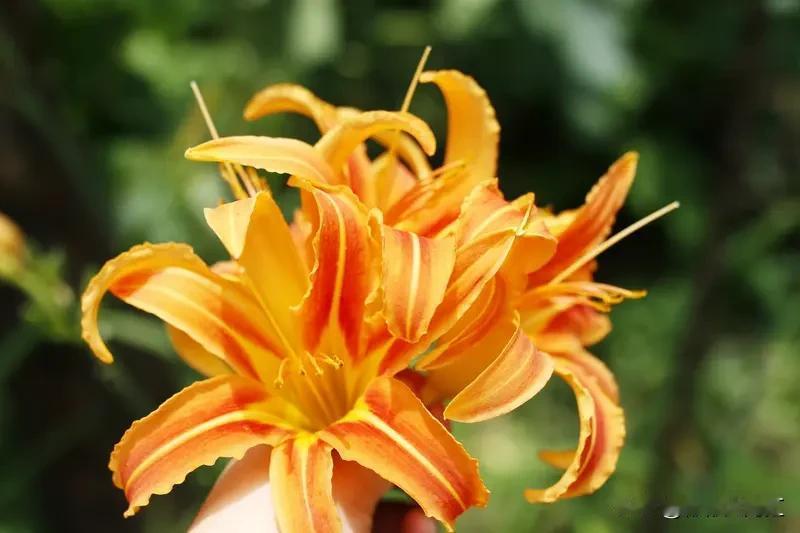 不想收婆婆给的钱，拒绝时得讲究方式。我觉得可以委婉又真诚地表达。比如笑着对婆婆说